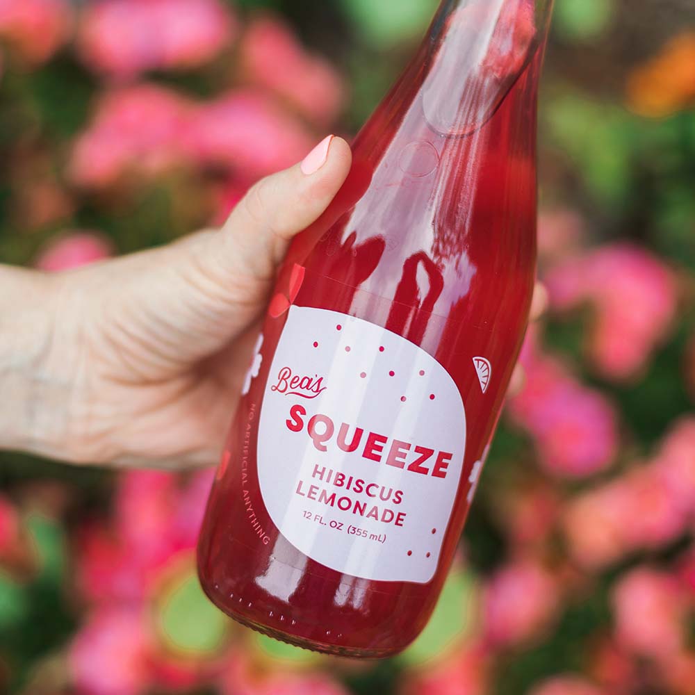 Hibiscus Lemonade 9-Pack
