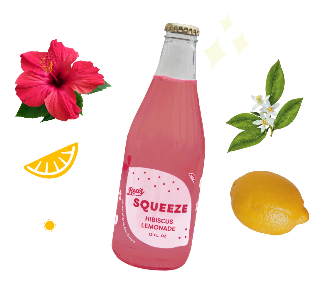 Hibiscus Lemonade 9-Pack